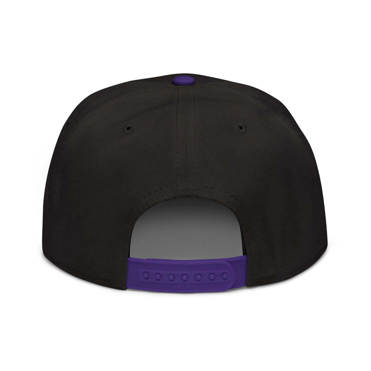 Big Dugout Energy Snapback — back view